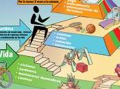 Dietas saludables funcionales