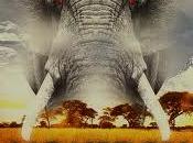 Larajedon: misterio elefantes, Sergio Medialdea