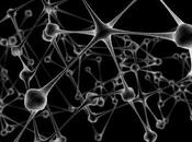 Colisiones neuronales azar explicarían diferencias cerebrales entre individuos