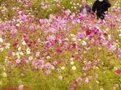 parque flores
