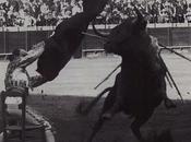 toros gallo