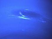 Impacto cometa podría explicar aire Neptuno