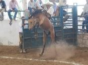 Hacienda Guadalupe, Triunfó Primera Excelencia, Aculco