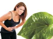 Remedios para gastritis