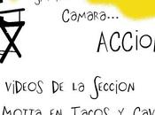 ¿Cómo está constituida Logosofía?