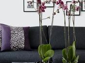 Decorar paredes composiciones cuadros