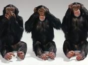 Solo admiten políticos corruptos