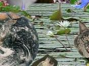 ¿Qué biodiversidad?