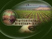 ¿Qué Agricultura Biodinámica?