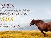 Tener amor
