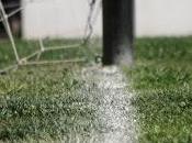 cancha dobla