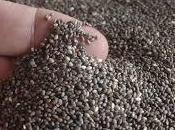 Semillas Chía, fuente Omega vitaminas antioxidantes