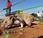 Utilizan ratas gigantes Tanzania para detectar minas antipersonas