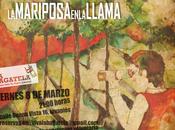 mariposa llama
