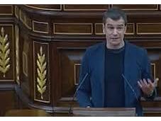 toni cantó tocado… cosas política