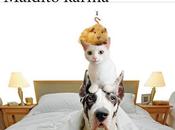 Lectura para semana maldito karma