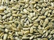 ¿Como pelan pipas venden peladas?