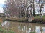 Invierno Canal Imperial Aragón.