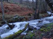 Fluir