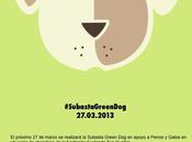 Green conjunto fundación cuidando huellas