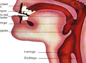 paciente debe comer beber poco antes operen