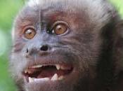 Centro rescate liberacion animales silvestres