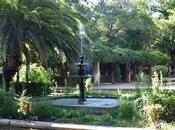 Estanque Lotos.