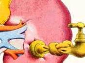 millones españoles desconocen padecen insuficiencia renal