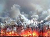 Fallas 2013