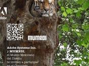 Concurso Nacional “Mundo Diseño” retoque fotográfico