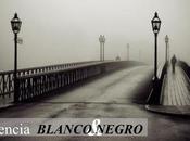 TENDENCIAS PRIMAVERA 2013 vida blanco negro