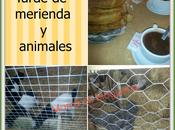 Miércoles Mudo: merienda animales granja