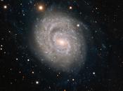 belleza espiral adornada supernova consume