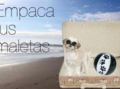 Empaca maletas!