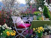 Consejos para elegir plantas balcón terraza