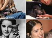 mejores complementos para nuestras mascotas