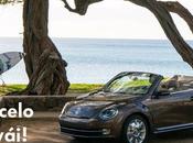 Conduce Beetle Cabrio Hawaii