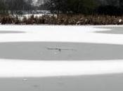 Aparecen nuevos CROP CIRCLE pero esta sobre nieve