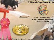 Agility Championships Europe World Event