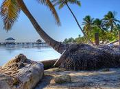 Friday Pic: Cayo Ambergris