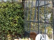 Para pasar buen rato