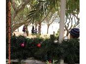 Visita Lamma Island (HK)