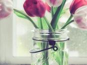 flor preciosa para decorar, tulipanes
