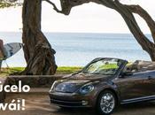 Gana viaje Hawái bordo Volkswagen Beetle, ¡participa ASAP!
