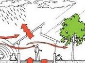 Guía diseño para eficiencia energética vivienda social