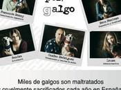 "Juntos (G)algo"