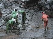 Derrame petróleo Golfo: Para controlar mensaje, compra términos búsqueda Google