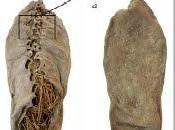 zapatos antiguos mundo, llevan cordones tienen 5.500 años