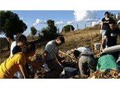 Medio Ambiente oferta ocho campos voluntariado ambiental Espacios Naturales Protegidos Andalucía