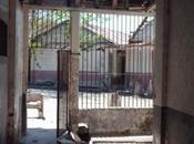 José León Sánchez, Isla Hombres Solos